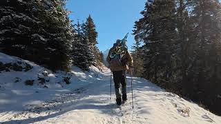 Orchideenleiterweg Weissenbach 11.1.25