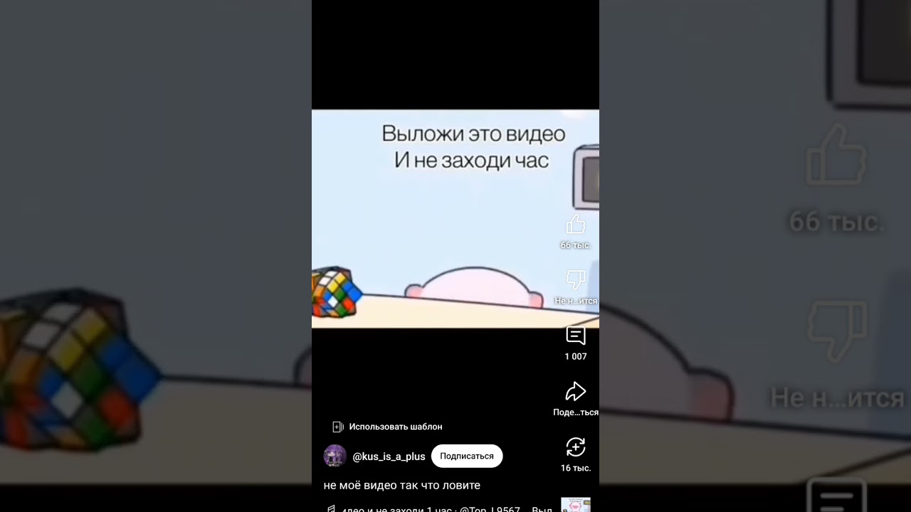 выложи это видео и не заходи час 