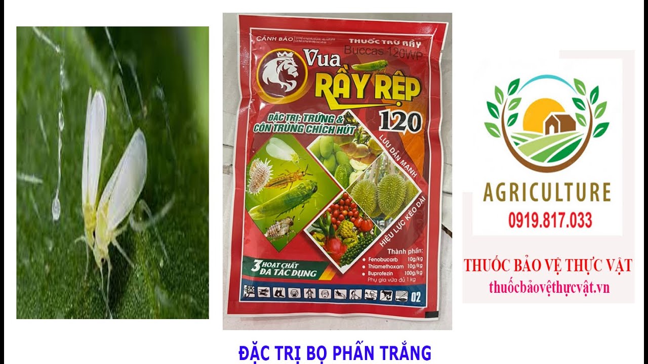 VUA RẦY RỆP 120 - THUỐC TRỪ SÂU...0776.755.793...thuốcbảovệthựcvật.vn # ...