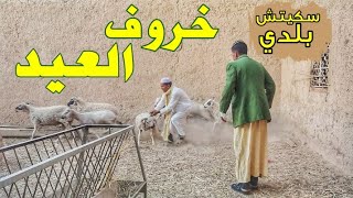 جديد الراكول خروف العيد.. الغازي ماعندو باش إعيد مغبين و راكول لي عتق جرا