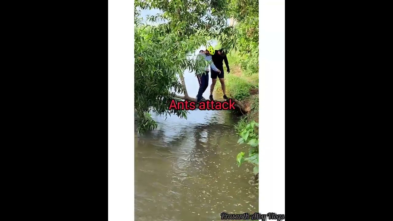 Sunday ride to Polachira |Pozhikkara in Riverside120|Rockrider ST50|Cosmic Trium|Bergamont Helix1.5i