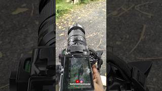 Nikond5300 #photography #trending #photo #nikon5300d #shots #new #shorts #short #gaming screenshot 4