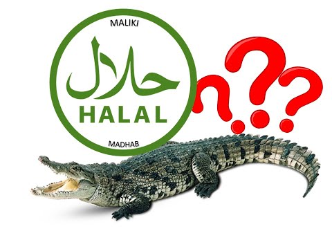 Халяль и харам 4 мазхаба! HALAL and HARAM 4 madhab!