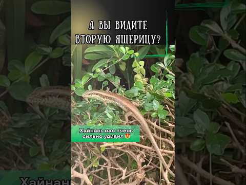 Хайнань. Отдых на Хайнане.  Пляжи Дадунхая и Саньи. Достопримечательности Хайнаня. Экскурсии Хайнань
