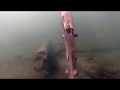 Саяно-Шушенское водохранилище. Monkey diving