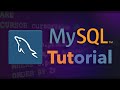 MySQL & Workbench Basics Tutorial π₯οΈ