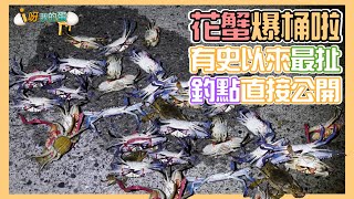 【釣蟹小益思】螃蟹爆桶了啦  破紀錄了啦  台南將軍野生螃蟹釣點    #釣蝦 #i呀我的蛋 #新聞 #主播 Shrimpfishing  エビ釣り  새우 낚시