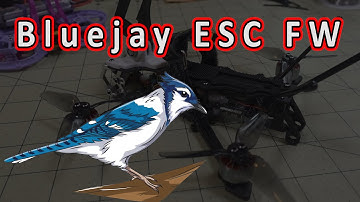 How to Flash Bluejay ESC Firmware + ESC 🎵