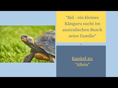 Kapitel 10 aus SID - EIN KLEINES KÄNGURU SUCHT IM AUSTRALISCHEN BUSCH SEINE FAMILIE