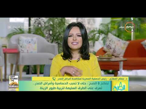 8 الصبح حتى لا تسبب الحساسية وأمراض الصدر تعرف على الطرق السليمة لتربية طيور الزينة