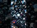 How Big Is Our Universe हम र ब रह म ड क तन बड ह Is MULTIVERSE Real Universe Space Earth How Big Is Our Universe हम र ब रह म ड क तन बड ह Is MULTIVERSE Real Universe Space Earth