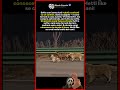 17 chilometri verso casa, guidati da un Corgi