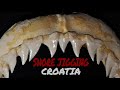 Shore jigging croatia  shark tale 