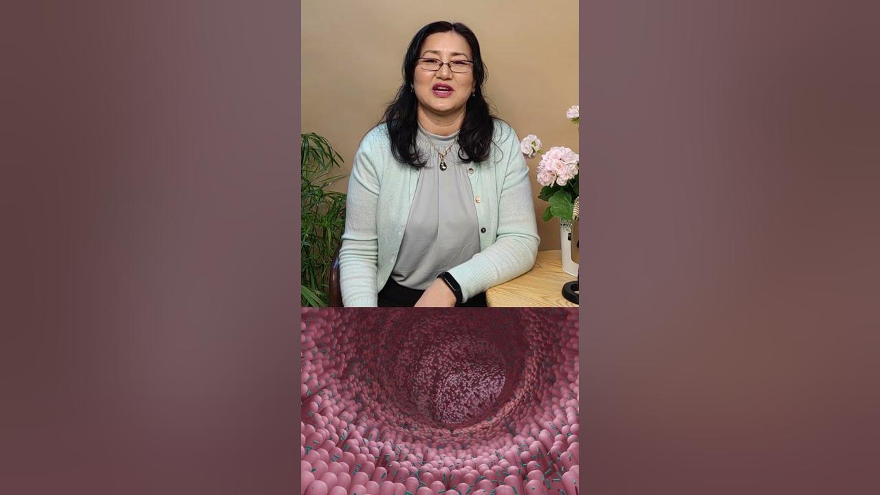 Ходоодны гэдэсний үйл ажиллагаа нөхөн сэргээх эмчилгээний талаар ...