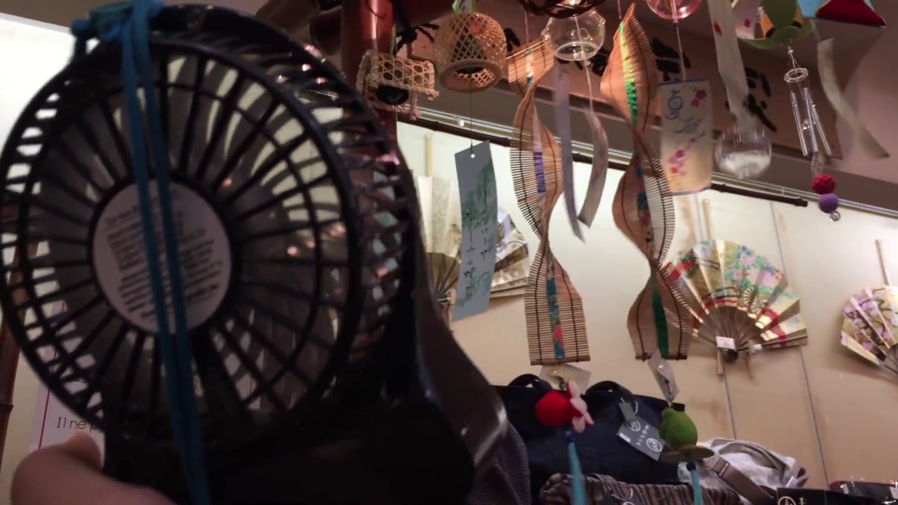 Blowing wind decorations in a store with my Palm Leaf brand portable