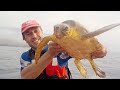 El hombre besa sonriente la cabeza de la tortugota. Entonces la tira de vuelta al agua