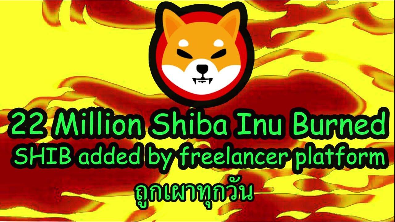 cash rebate คือ  2022 Update  Shiba Inu ถูกเผา 22 ล้าน เกือบหนึ่งพันล้าน SHIB ถูกเผา แพลตฟอร์มฟรีแลนซ์ LabourX เพิ่ม SHIB