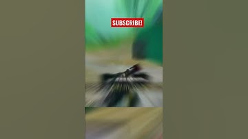 Most Satisfying Sound In COD Mobile! 😮‍💨 - CODM Battle Royale! #shorts #codm #codmshorts