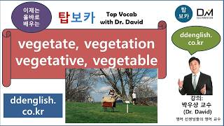 탑보카-의미와 용법에 주의-vegetable-vegetate-vegetation-vegetative-박우상교수의탑수능