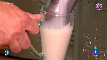 Dove si beve la Horchata?