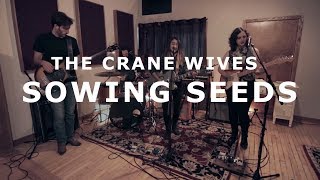 The Crane Wives - Sowing Seeds | NPR Tiny Desk Contest 2019 chords