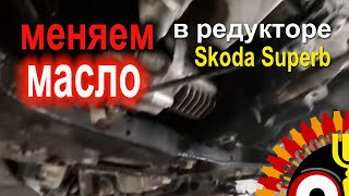 Диагностика В Помощь Меняем Масло И Муфту В Заднем Редукторе Skoda Superb 2015 Года