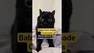 Perfect way to start your Sunday morning - croissants from Baby Corn's bakery. #babycorncat