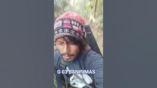 waktune balik bosku#shorts #pemikatburung