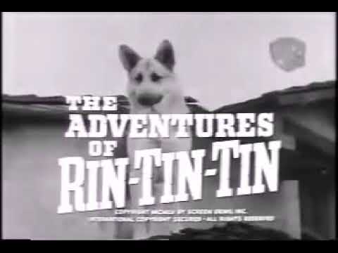 Rin tin tin (Español Latino)