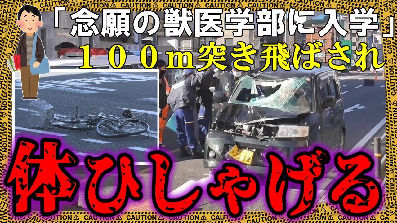夢を叶えて忙しくも充実した日々→はしご酒した車に撥ね飛ばされ…【ゆっくり解説】