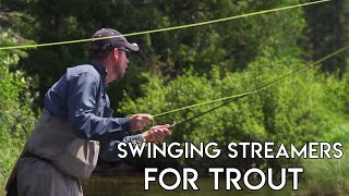 Swinging Streamers for Small River Brook Trout