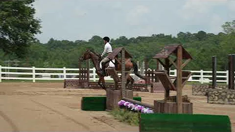 Horseshow Ventures Hunters.