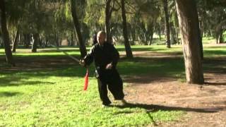 Tai Chi Sword (Tao Lu) [02] Shimon Levin