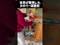音源をクリックしないで...‼️⚠️