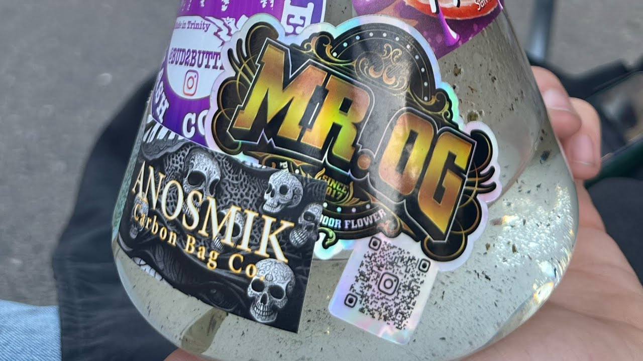 Terp Nation fun! 🤩