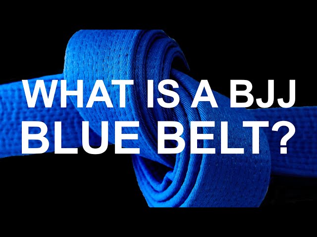 What is a BJJ Blue Belt? class=