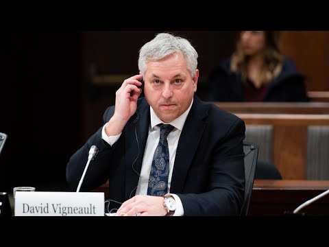 Canada's CSIS director on alleged election interference by China | FULL TESTIMONY