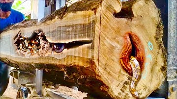 Big surprise! Old teak wood with strange shapes is very beautiful and expensive at the sawmill.