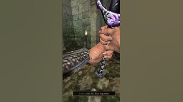 Killing the adoring fan in Morrowind every day until Skywind and Skyblivion are released Day - 423