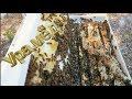 Collecting honey May 2017