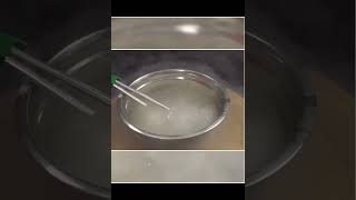 Liquid Nitrogen vs. Water Heater: Epic Reaction!