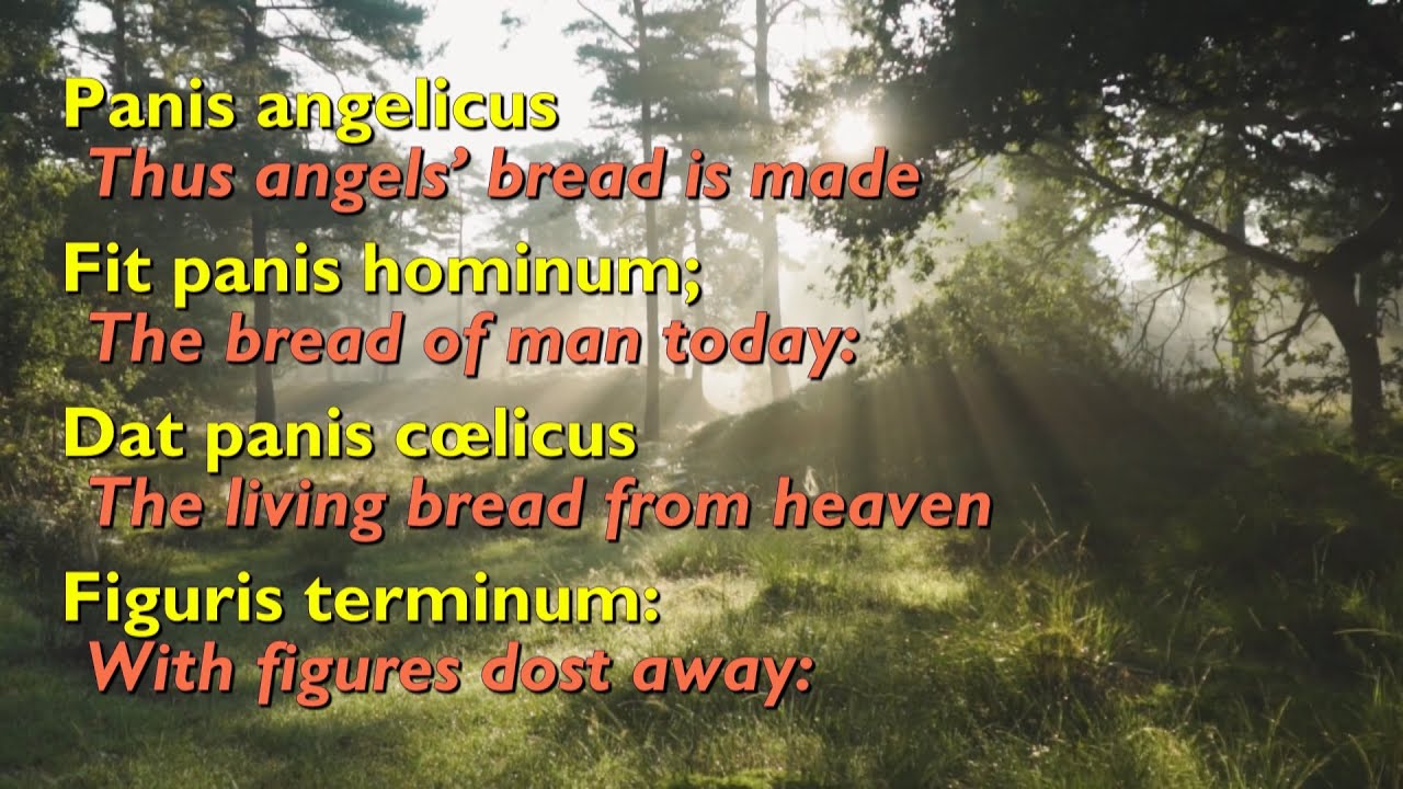Panis Angelicus (Bread of Angels Shorter Version) [with lyrics] YouTube