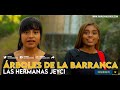 Hermanas jeyci  rboles de la barranca official