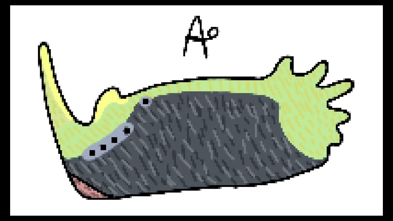 Patata species that have exaggerated body parts for sexual display