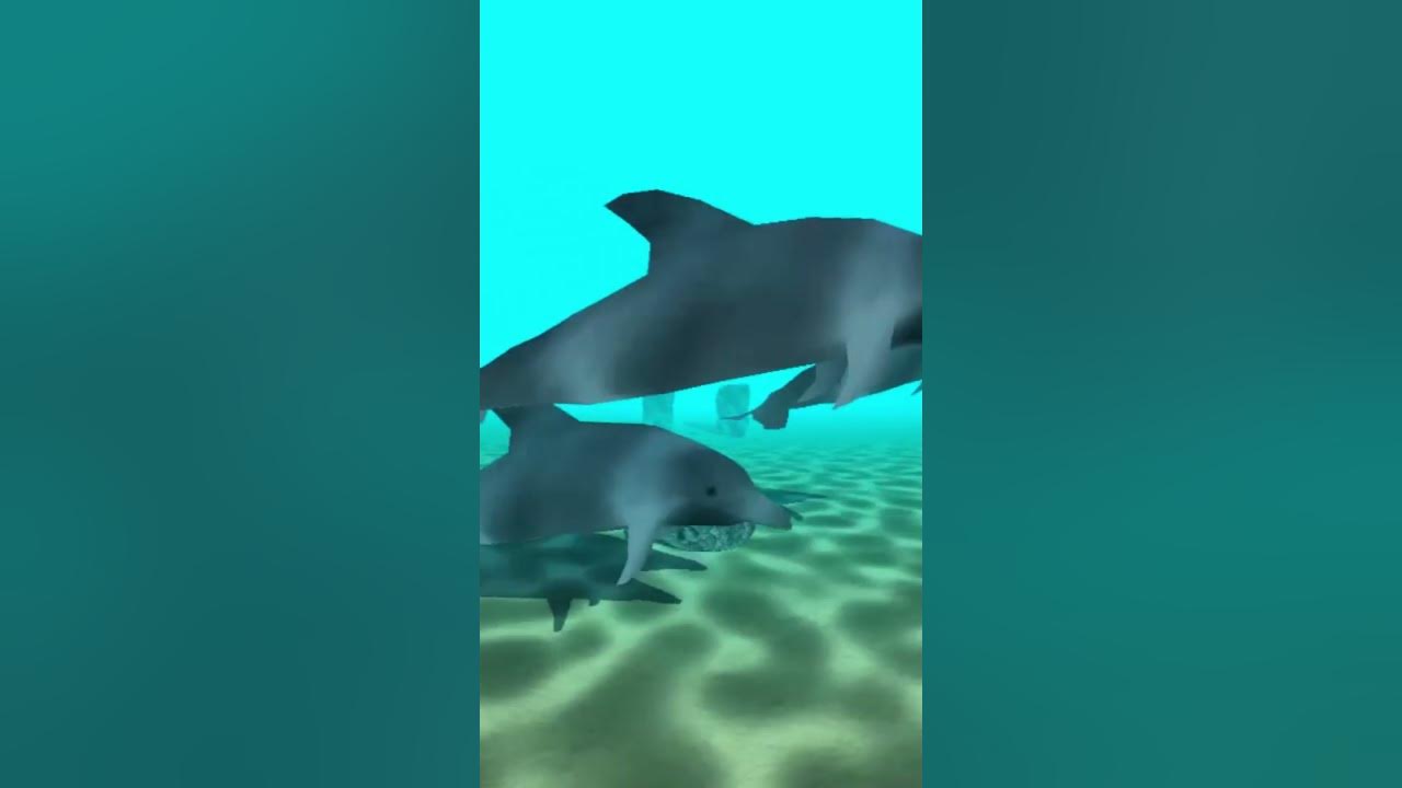 OpenGL Underwater Effect - Caustic #Shorts #dolphins #underwater #ocean ...
