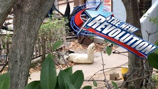 The New Revolution Update: #2 for 1/30/16