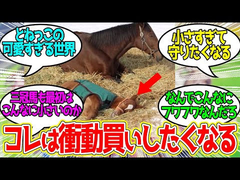 とねっこ まめちゃん まめひなたちゃん Mamehinata-chan TiK ToK - Ke