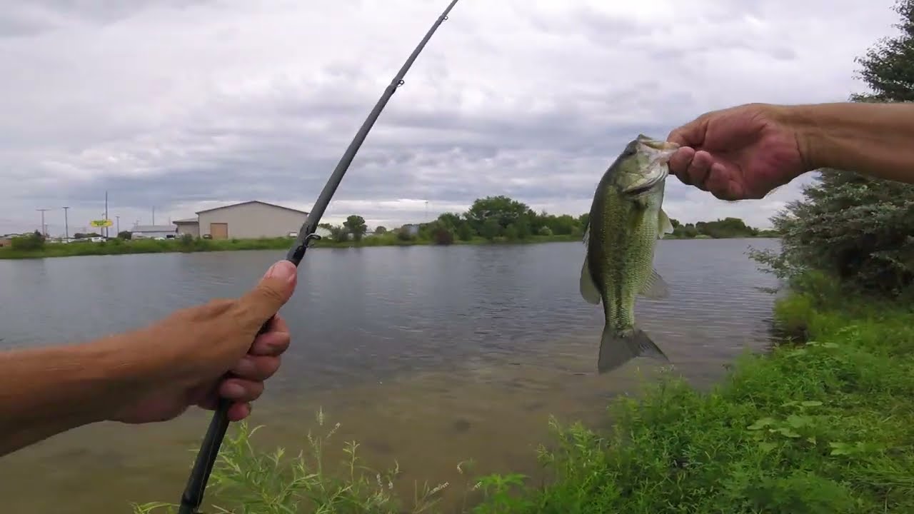 Whopper Plopper Bass Fishing ! #fishing #bassfishing #topwater