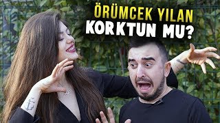 Simge Barankoğlu Aslında Kim? Halil Söyletmez Ile Bağlantısı Ne?