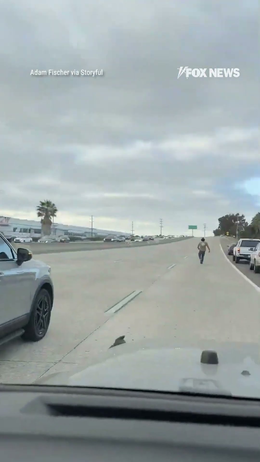 FAST \u0026 FURRIEST: Chihuahua rescued after running 10 miles through traffic on busy freeway ? ❤️